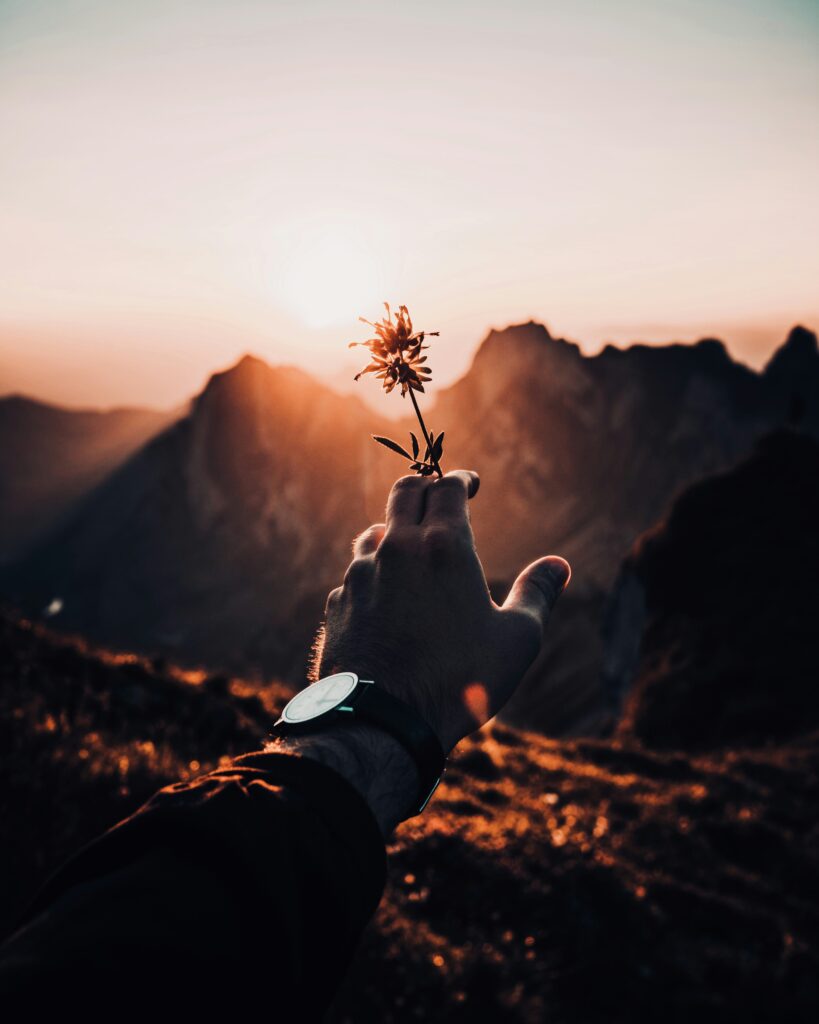 ayko-neil-kehl-NDvNb-E3VUA-unsplash